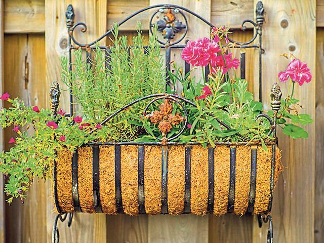 You can fix up the antique shelf on your balcony wall and use it as a planter. (ISTOCK)