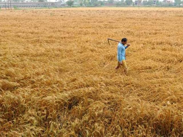 Across the country, the percentage of landless households decreased from 11.3 in 2003 to 7.4 in 2013. (Bharat Bhushan/HT file photo) Across the country, the percentage of landless households decreased from 11.3 in 2003 to 7.4 in 2013. (Bharat Bhushan/HT file photo)