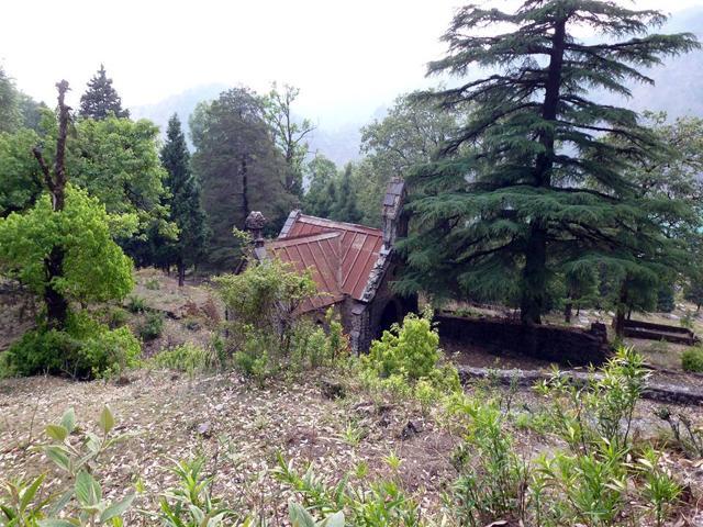 At present, only two graveyards exist — one along Kaladhungi Road and another at Pines, which was meant for British soldiers but lost its exclusivity after Independence. (Photo: Susie Gilbert)