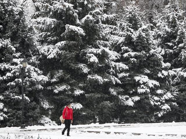 A woman walks in a park during a snowfall in Almaty, Kazakhstan. (REUTERS)