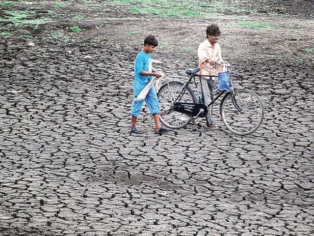 The fall in the groundwater level has been reported primarily in the north and western parts of the state. (HT photo) The fall in the groundwater level has been reported primarily in the north and western parts of the state. (HT photo)