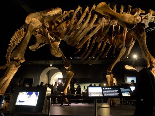 New York unveils skeleton cast of largest dinosaur-ever | Hindustan Times