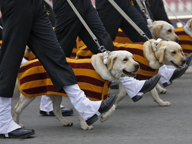 Soldiers march beside their dogs during Army Day parade. (REUTERS) Soldiers march beside their dogs during Army Day parade. (REUTERS)