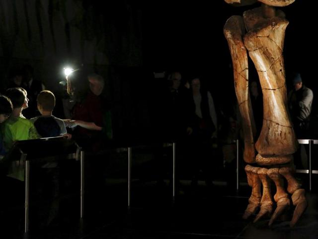 The titanosaur’s remains were excavated in the Argentinian desert near La Flecha by a team from the Museum of Paleontology Egidio Feruglio, led by José Luis Carballido and Diego Pol, who studied at the New York museum.  (Reuters Photo) 
