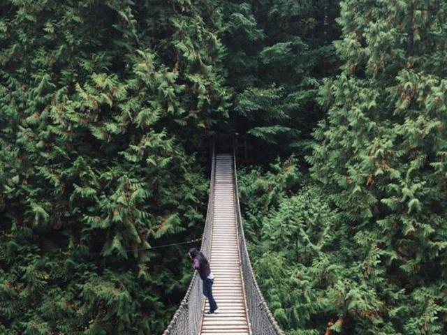 A girl on a beautiful hanging bridge in Vancouver, Canada. (Instagram/@franciscaoile)