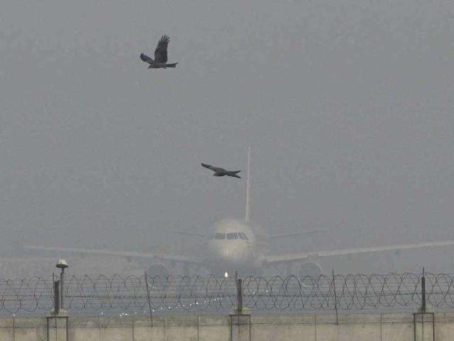 Why is it that airlines, pilots and the Delhi airport have not been able to crack the chronic problem of beating fog conditions the way many international airports are able to, some of them in places that experience more extreme weather conditions? (Vipin Kumar/HT File Photo) Why is it that airlines, pilots and the Delhi airport have not been able to crack the chronic problem of beating fog conditions the way many international airports are able to, some of them in places that experience more extreme weather conditions? (Vipin Kumar/HT File Photo)