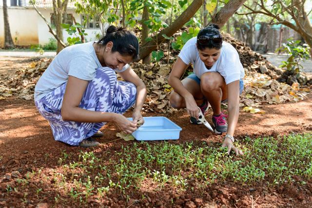 The Table Farm in Alibaug began in 2008 with a vision to promote the farm-to-table concept