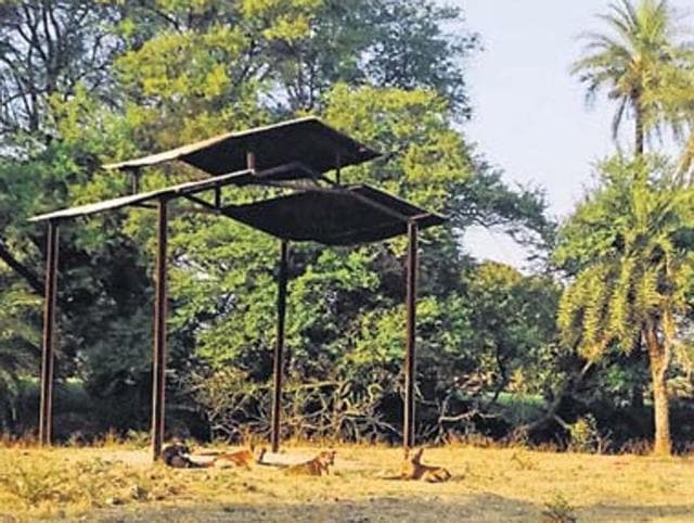 In a village just eight kilometres away from the birthplace of Dr Ambedkar, Dalits are forced to cremate their dead in a separate crematorium, pictured above. (HT Photo)