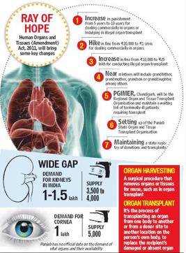 Article image Article image