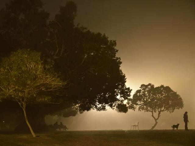 Shades of green on the foggy winter canvas  during a winter evening in Delhi’s iconic Lodhi Garden. (Saumya Khandelwal/ HT Photo) 