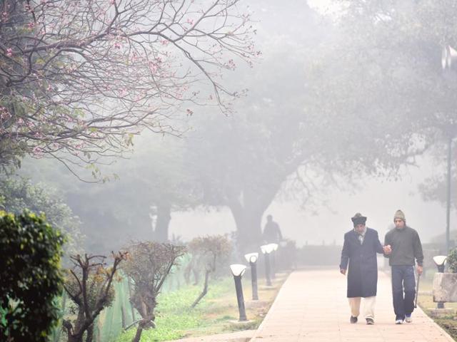 Walk for health in ‘unhealthy’ air: People take a walk in a park as the Capital wakes up to heavy fog and low temperature. (Saumya Khandelwal/ HT Photo) 