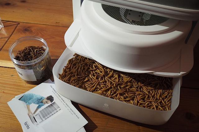 The mealworms are also nutritious, containing the same amount of protein as beef, more vitamin B12 than eggs and more fibre than broccoli, according to Unger and Kaisinger’s firm, Livin Farms. (livinfarms.com) The mealworms are also nutritious, containing the same amount of protein as beef, more vitamin B12 than eggs and more fibre than broccoli, according to Unger and Kaisinger’s firm, Livin Farms. (livinfarms.com)