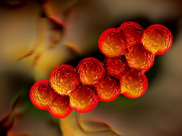 In simple words, if superbugs are not stopped, people would start dying of infections that have been treated using affordable and widely available medicines for several decades. (Shutterstock) In simple words, if superbugs are not stopped, people would start dying of infections that have been treated using affordable and widely available medicines for several decades. (Shutterstock)