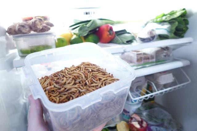 Eating insects -- entomophagy -- is not new. Humans have been doing so for thousands of years. (livinfarms.com) Eating insects -- entomophagy -- is not new. Humans have been doing so for thousands of years. (livinfarms.com)