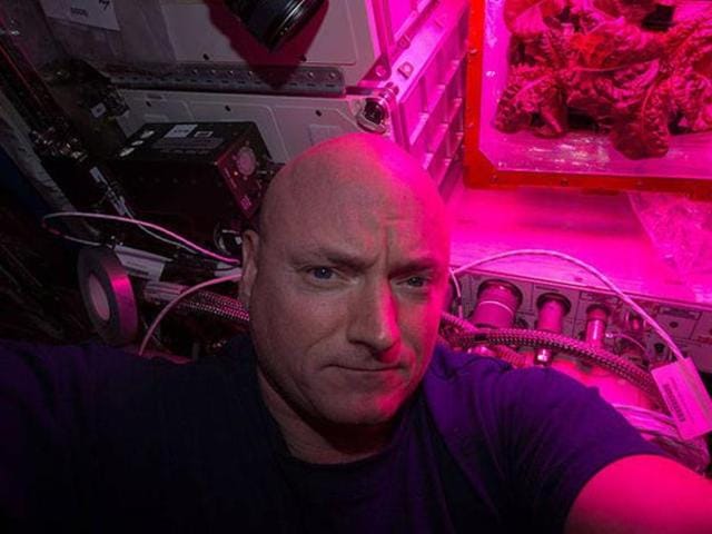 Scott Kelly took this selfie with the second crop of red romaine lettuce in August of 2015 (Nasa) Scott Kelly took this selfie with the second crop of red romaine lettuce in August of 2015 (Nasa)