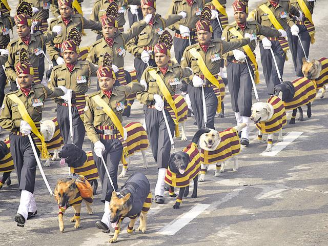 The dog squad marches past during the full dress rehearsal for the 67th Republic Day parade at Rajpath in New Delhi. (Vipin Kumar/HT Photo) 