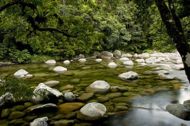 The Daintree Rainforest is a tropical rainforest region on the north east coast of Queensland, Australia. (Shutterstock) The Daintree Rainforest is a tropical rainforest region on the north east coast of Queensland, Australia. (Shutterstock)