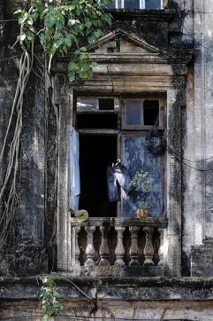 “There is a story going on; you can sense something happening. As you go closer, you see more and more,” says Goghavala. (Photo: Parhad Goghavala) “There is a story going on; you can sense something happening. As you go closer, you see more and more,” says Goghavala. (Photo: Parhad Goghavala)