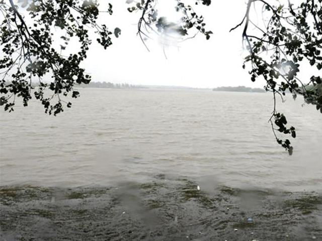 Sirpur lake has been recognised as Important Bird Area.(Shankar Mourya/ HT File Photo)