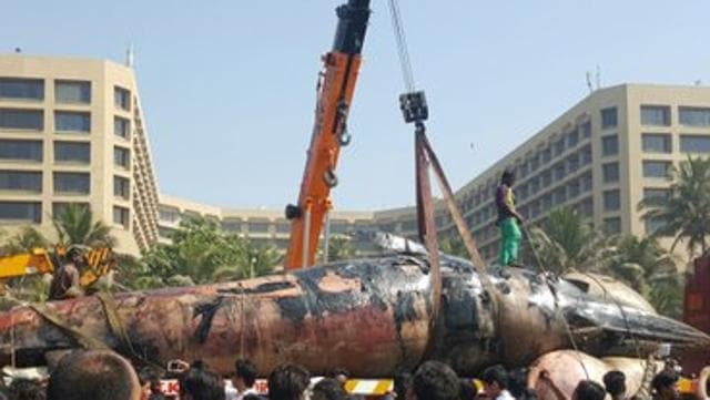 Whale finally being lifted from Juhu Beach in Mumbai (HT) Whale finally being lifted from Juhu Beach in Mumbai (HT)