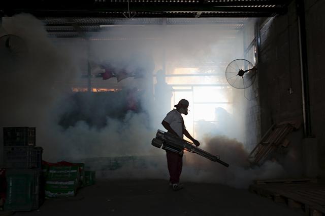 A health ministry employee fumigates against Aedes Aegypti mosquito in Nicarcagua. (REUTERS) A health ministry employee fumigates against Aedes Aegypti mosquito in Nicarcagua. (REUTERS)