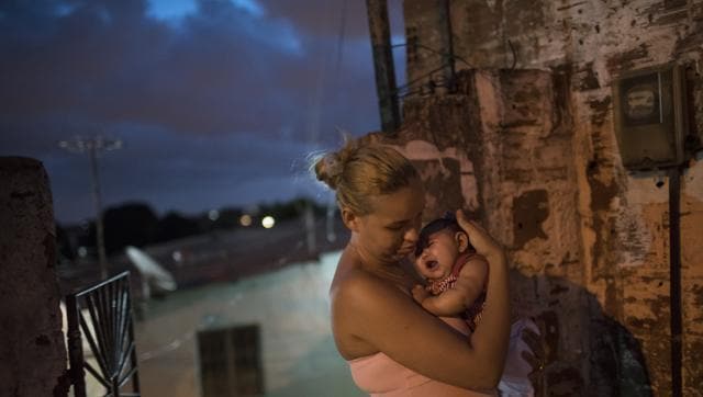 Countries with local transmission such as Brazil, Colombia and Honduras have recommended women not get pregnant this year. (AP) Countries with local transmission such as Brazil, Colombia and Honduras have recommended women not get pregnant this year. (AP)