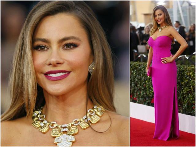 Modern Family star Sofia Vergara looked stunning with her berry lips and a hot pink gown that flattered her body like magic. (Agencies)