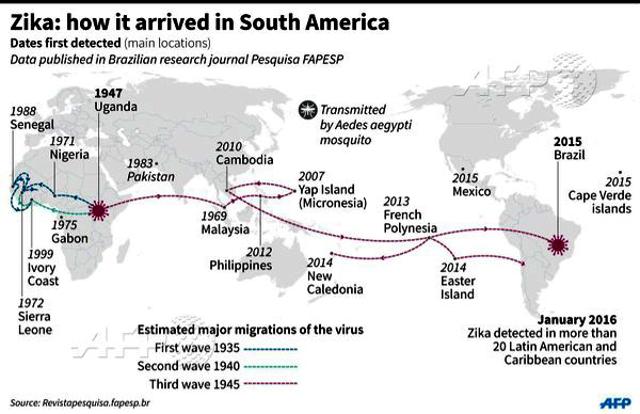 Zika graphic (AFP) Zika graphic (AFP)