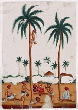 Toddy gatherers working around a palm tree (New York Public Library Digital Collections )