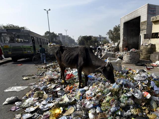 Huge quantity of garbage seen out side the dumping space near Vasudhra Enclave at Dallupura during the MCD workers strike in New Delhi, India, on Tuesday, February 2, 2016. (Mohd Zakir / HT Photo) Huge quantity of garbage seen out side the dumping space near Vasudhra Enclave at Dallupura during the MCD workers strike in New Delhi, India, on Tuesday, February 2, 2016. (Mohd Zakir / HT Photo)