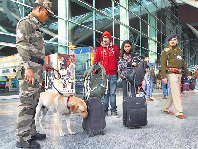 A CISF sniffer dog checks baggage at the Indira Gandhi International Airport in New Delhi.(Arvind Yadav/HT file photo)
