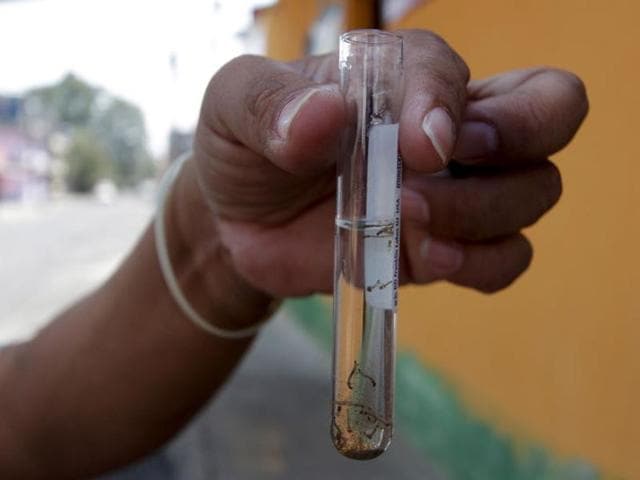 A health technician analyzes a blood sample from a patient bitten by a mosquito at the National Institute of Health in Lima, Peru, February 2, 2016. Health experts are bracing for Zika virus to spread to the United States by April or May, borne by a mosquito that craves human blood, feeds during the day and lives under beds and inside closets. REUTERS/Mariana Bazo/Files (REUTERS) A health technician analyzes a blood sample from a patient bitten by a mosquito at the National Institute of Health in Lima, Peru, February 2, 2016. Health experts are bracing for Zika virus to spread to the United States by April or May, borne by a mosquito that craves human blood, feeds during the day and lives under beds and inside closets. REUTERS/Mariana Bazo/Files (REUTERS)