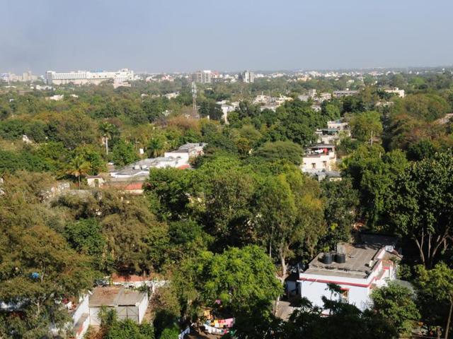 The project will lead to destruction of the green cover in Tulsi Nagar and Shivaji Nagar. (Mujeeb Faruqui/ HT photo) The project will lead to destruction of the green cover in Tulsi Nagar and Shivaji Nagar. (Mujeeb Faruqui/ HT photo)