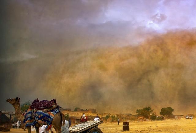 Sandstorm in Thar (Flickr) Sandstorm in Thar (Flickr)