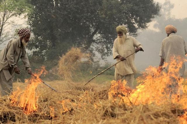 Forest fire in Punjab (Wikipedia Commons) Forest fire in Punjab (Wikipedia Commons)