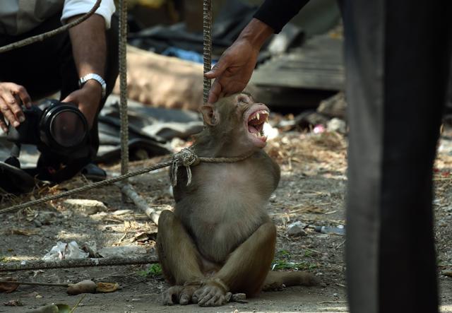 (AFP) (AFP)