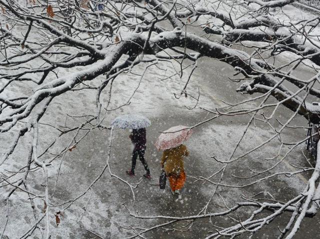 Snow visited Shimla on Sunday, and it finally felt like winter this winter! (Photo: Deepak sansta/Ht)
