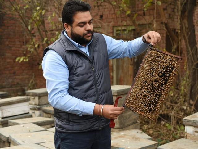 Simranjeet Singh with his honey bees at Ugani village in Patiala. (Sanjeev Sharma/HT Photo) Simranjeet Singh with his honey bees at Ugani village in Patiala. (Sanjeev Sharma/HT Photo)