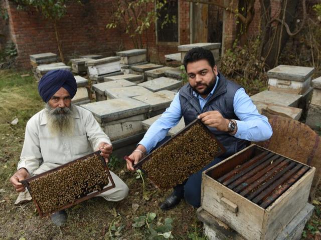 Simranjeet Singh (right) with his uncle showing off their honey bees at Ugani village in Patiala. (Sanjeev Sharma/HT Photo) Simranjeet Singh (right) with his uncle showing off their honey bees at Ugani village in Patiala. (Sanjeev Sharma/HT Photo)