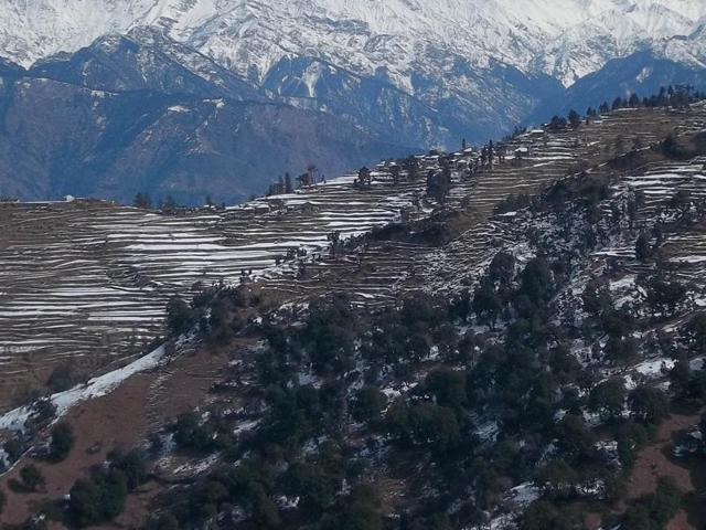 After the snow in Kamru valley of Mandi district on Sunday. (photo: birbal sharma/ht)