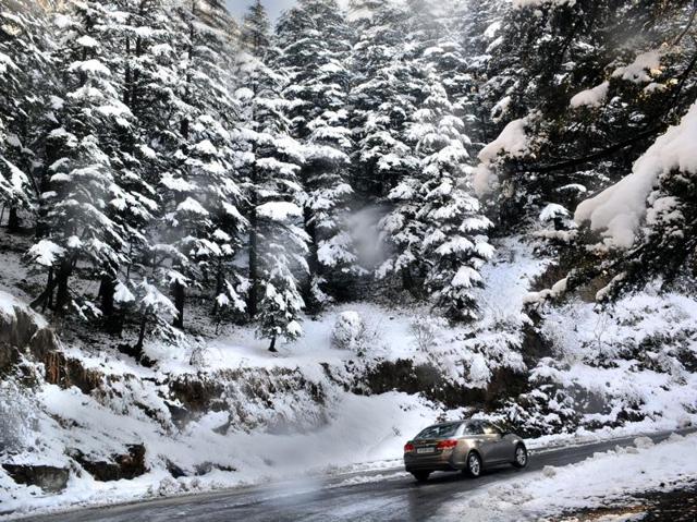 A vehicle crossing the snow covered pine trees at Kufri after heavy snowfall in Shimla. (Deepak Sansta/HT Photo)