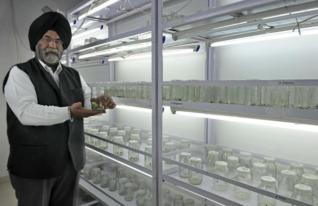 Rajpal Singh Gandh’s tissue-culture laboratory at Pojewal in Nawanshahr district. (Gurminder Singh/HT) Rajpal Singh Gandh’s tissue-culture laboratory at Pojewal in Nawanshahr district. (Gurminder Singh/HT)