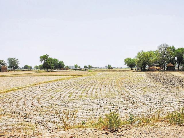 Land parcels are consolidated to transfer ownership rights to the land pooling agency. (ISTOCK) Land parcels are consolidated to transfer ownership rights to the land pooling agency. (ISTOCK)