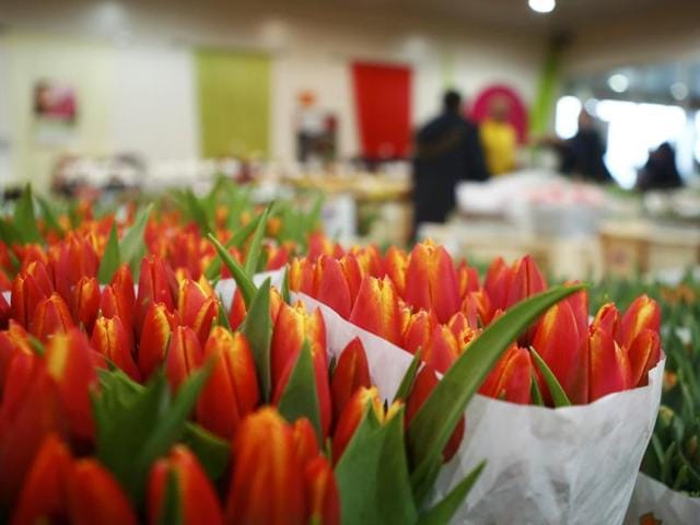 Flowers on display for sale ahead of the Valentine’s Day at a flower market in Vienna, Austria, February 12, 2016. (REUTERS)