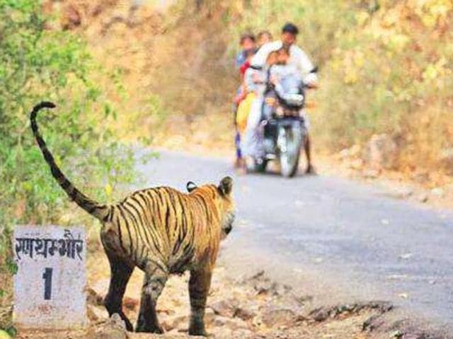 The man-animal conflict is increasing in India because the State lacks the will to save India’s natural heritage(File Photo)