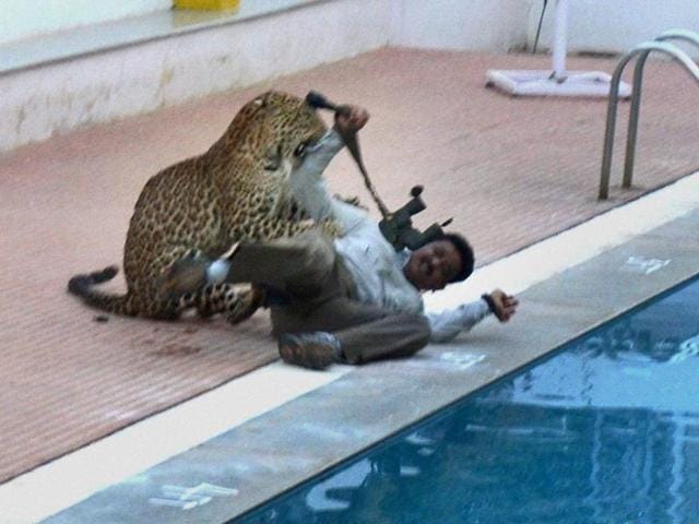 A leopard was spotted at Vibgyor school at Kundalahalli near Whitefield , 3 people were injured in the operation(Hindustan Times)