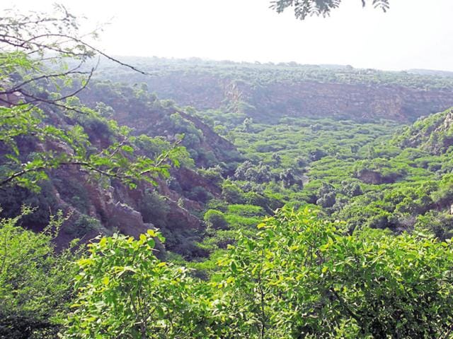 The result of the study will be submitted to the Haryana forest department.(HT File Photo) The result of the study will be submitted to the Haryana forest department.(HT File Photo)