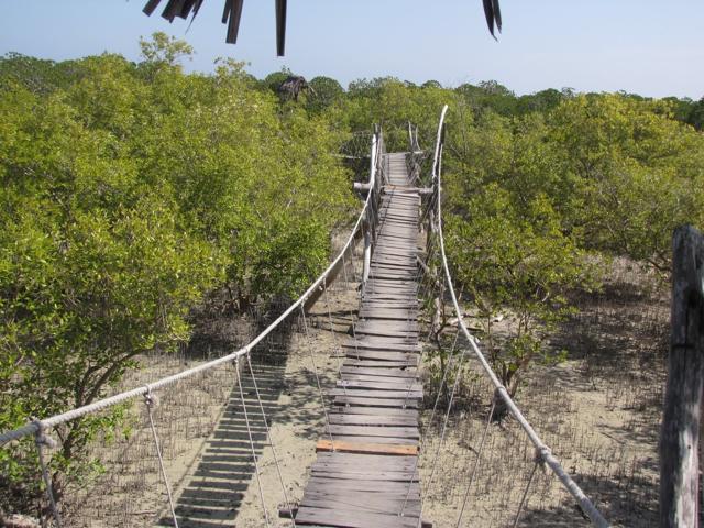 A 260-meter-long suspended rope bridge, made of wooden planks, will guide you to a shelter, from where you can watch the ­birdlife. (Twitter)