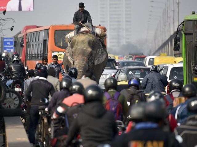 A mahout an elephant rider make his way from the wrong side of the road at Vikas Marg ITO causing problem for the commuters and traffic jam in New Delhi. (Ravi Choudhary/ HT Photo) A mahout an elephant rider make his way from the wrong side of the road at Vikas Marg ITO causing problem for the commuters and traffic jam in New Delhi. (Ravi Choudhary/ HT Photo)