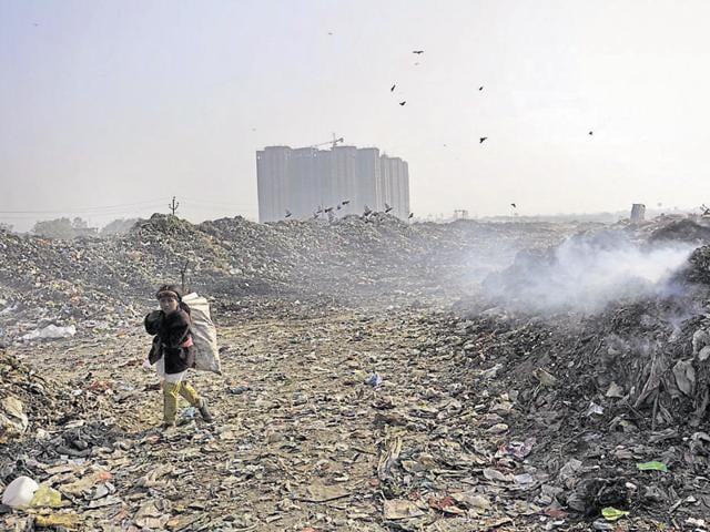 The city lacks a proper solid waste management plant and garbage is dumped at an undesignated site. (HT File Photo) The city lacks a proper solid waste management plant and garbage is dumped at an undesignated site. (HT File Photo)